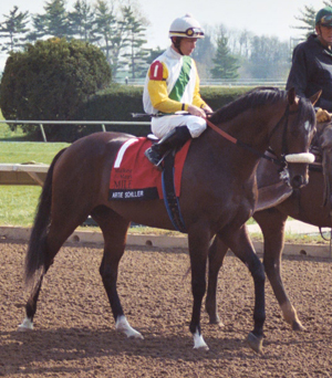 Post Parade for Mile